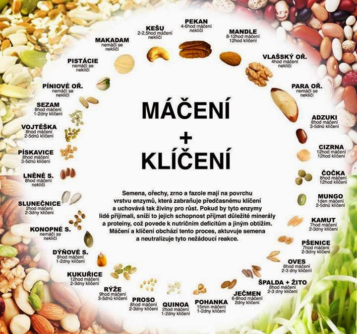 maceni kliceni